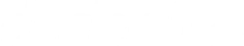 Dealersite Plus Logo